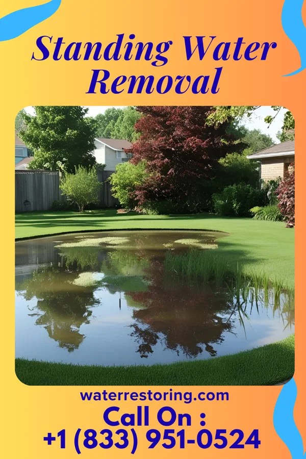 Standing Water Removal in Aredale, IA